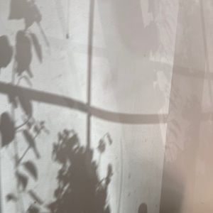 Meet your Posher, Staci